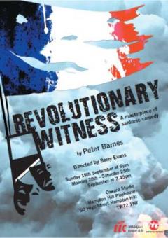 Revolutionary Witness